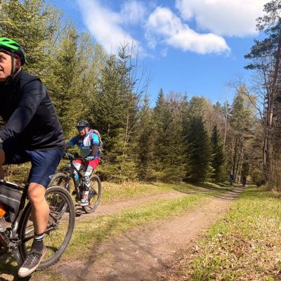 Mtb 19