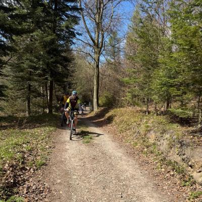 Mtb 36