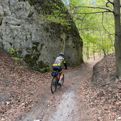 Mtb 47