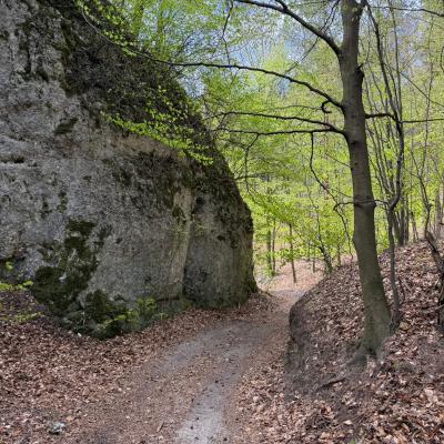 Mtb 48