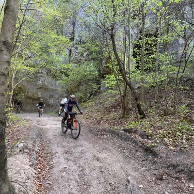 Mtb 50