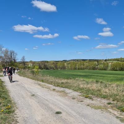 Rodzinna 66